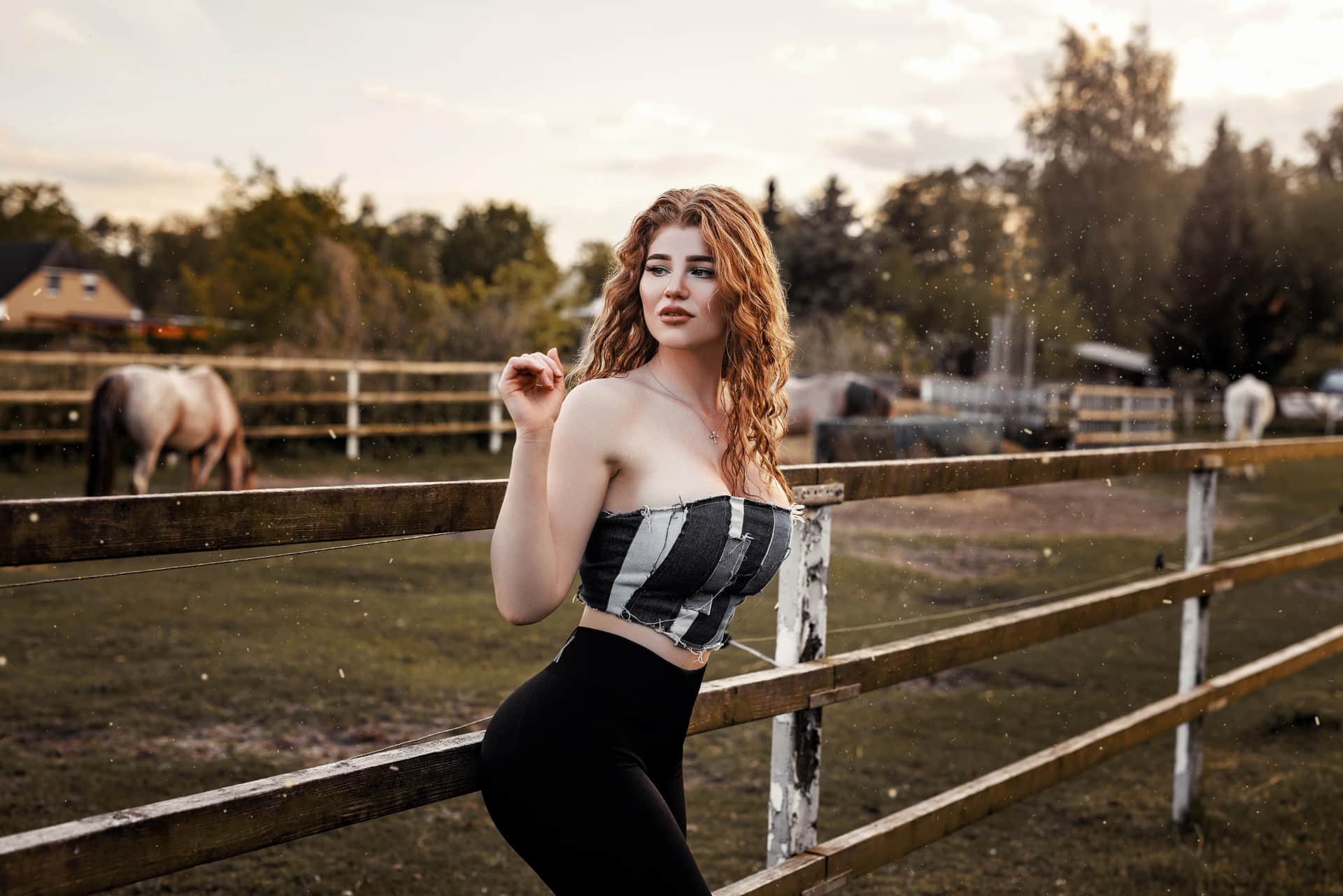 Portrait — Galerie